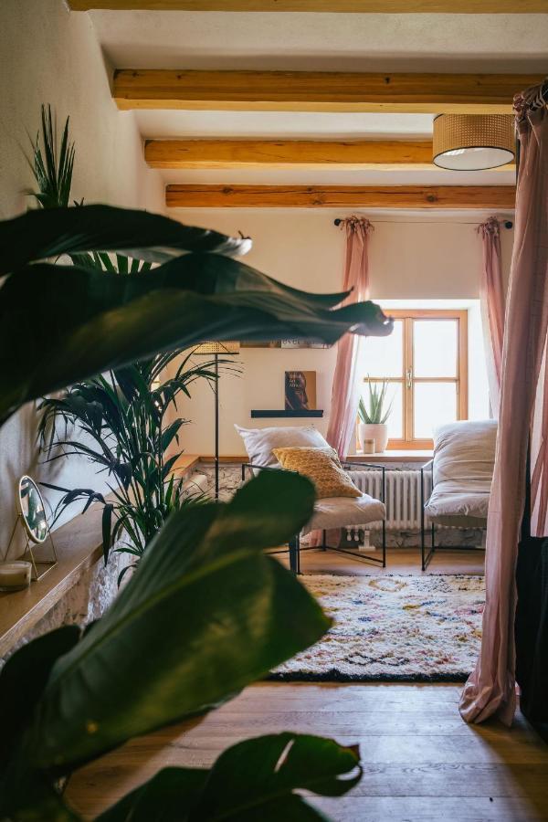 Bed and Breakfast Marináda Viniční dům Pavlov Exterior foto